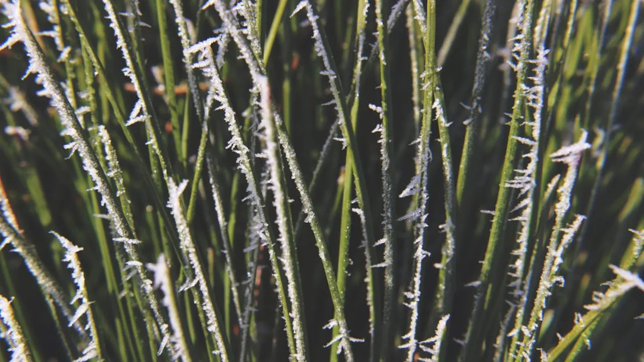 Негода мчить до України: синоптик прогнозує мокрий сніг, снігову крупу та сильний вітер 