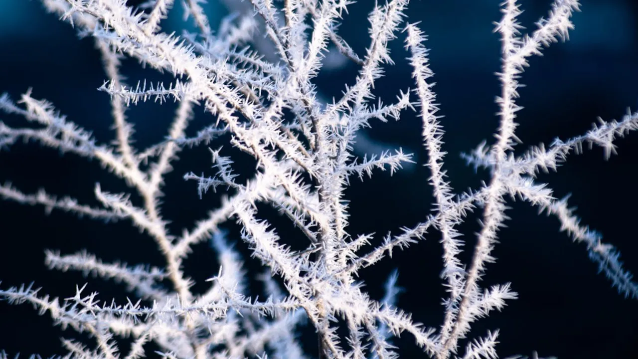 Листопад почнеться з циклонів: дощі, сніг і пориви вітру накриють схід Європи 