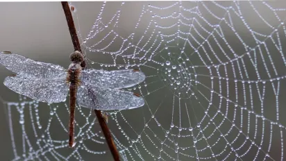 "Температура впаде до -4°": до України мчить негода  - фото