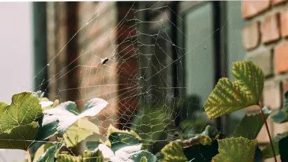 На вихідних в Україну нагряне різке похолодання: прогноз синоптика - фото