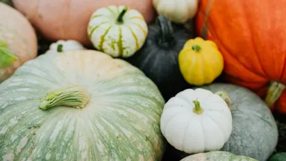 Чи можна їсти гарбуз сирим: дієтологиня відповіла - фото