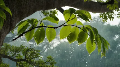 Прохолодні дні та тумани: прогноз погоди на 3 листопада - фото