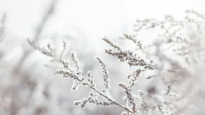 Україну засипле першим снігом: прогноз погоди на 4 листопада - фото