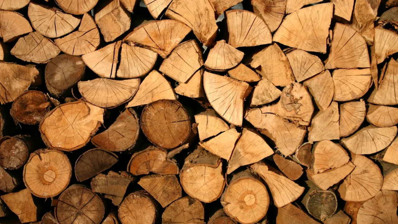 До 7 років в'язниці: як можуть покарати за незаконне зберігання дров 