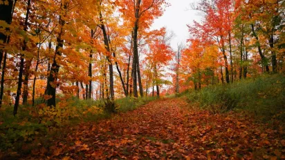 Синоптик попередив українців про зміну погоди: до чого готуватися - фото