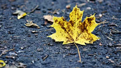 Що можна і не можна робити 5 листопада: прикмети для сімейного щастя - фото