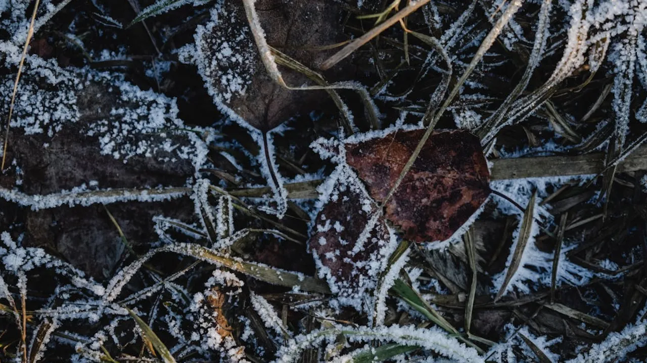 Вітер вщухне, але стане ще холодніше: прогноз погоди на 5 листопада 