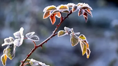 Погода в Україні зміниться через антициклон: синоптикиня дала прогноз - фото