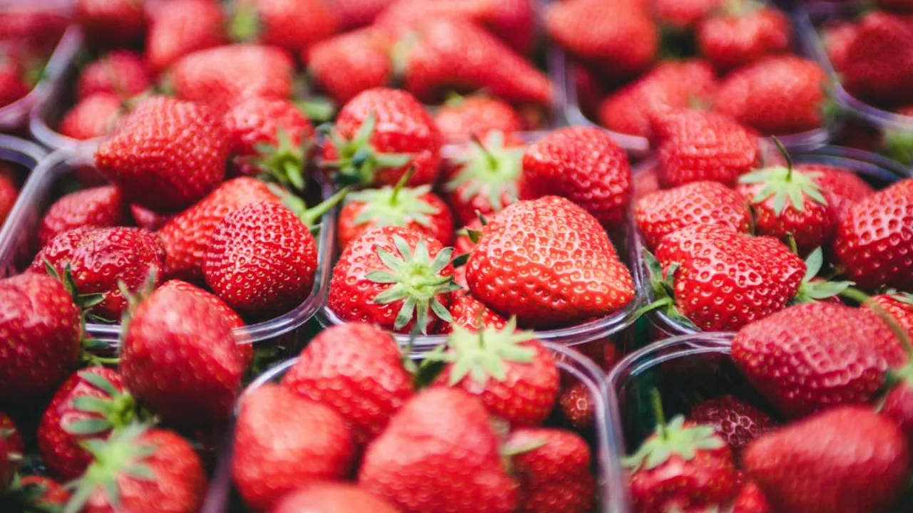 Як підживити ремонтантну полуницю на зиму: поради садівникам 