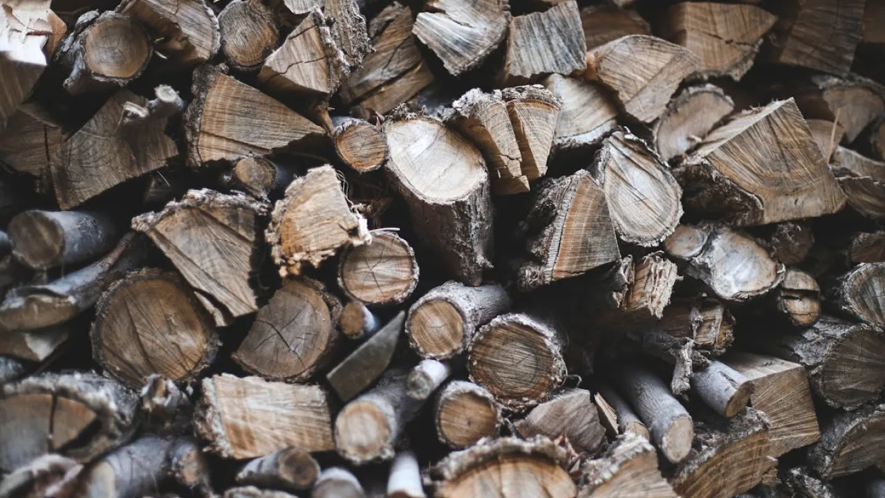 Нардеп відповіла, яка мета законопроєкту про дрова 