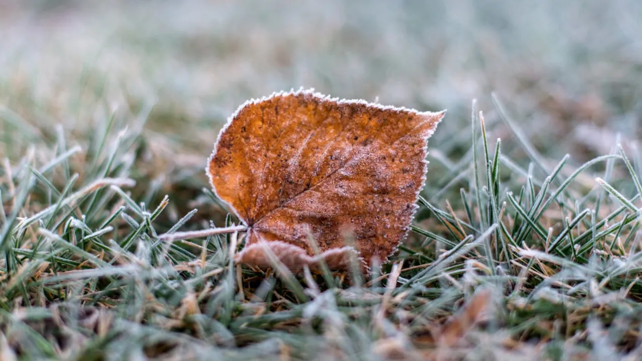 Залишиться сильний вітер та пройдуть дощі з мокрим снігом: прогноз на 6 листопада 