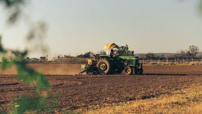 Українські аграрії вже засіяли більше 6 млн га озимих – Мінагрополітики - фото