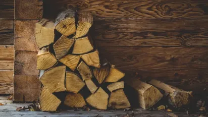 Чи підпише Зеленський «закон про дрова»: відповідь Офісу президента - фото