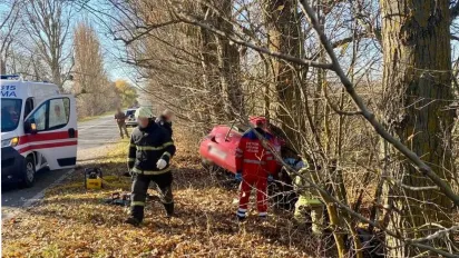 На Вінниччині легковик влетів в дерево: загинула водійка та її 12-річний син - фото