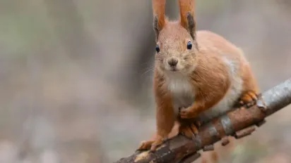 В Україну прийде похолодання: прогноз погоди на 8 листопада - фото