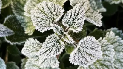 Мороз до -3 та сніг: синоптикиня дала прогноз на кінець тижня - фото