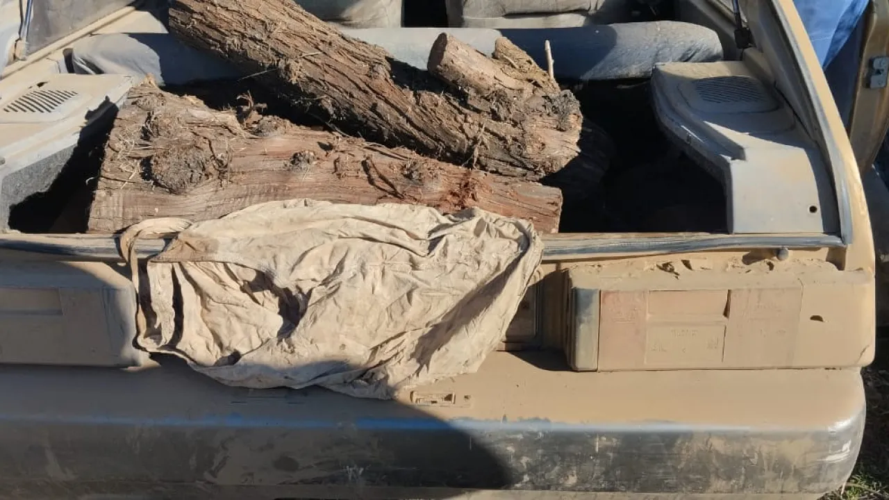 На Миколаївщині оштрафували чоловіка, який віз дрова в багажнику авто 