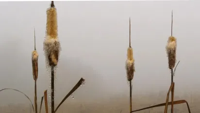 У восьми областях України оголосили жовтий рівень небезпечності (список) - фото