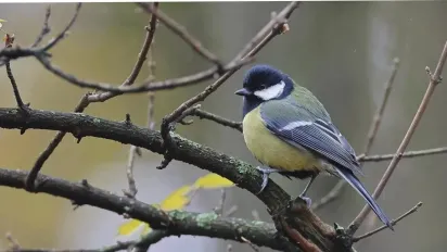 На вихідних в Україні стане холодніше: прогноз синоптиків - фото