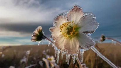 Дощі та мороз в кількох регіонах: прогноз погоди на 9 листопада - фото