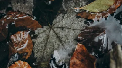 Без опадів, але з туманами: прогноз погоди на 10 листопада - фото