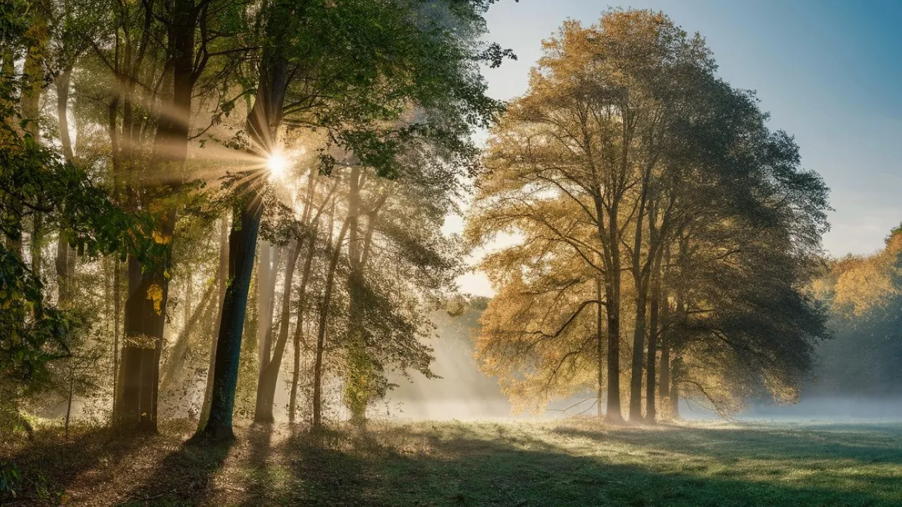 Прохолодний і ясний кінець тижня: прогноз погоди на 10 листопада 