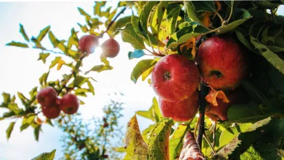 Україну накрив антициклон: синоптикиня дала прогноз на понеділок - фото