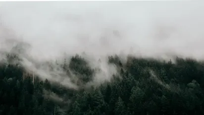 В Україну прийдуть тумани та мокрий сніг: прогноз погоди на тиждень  - фото