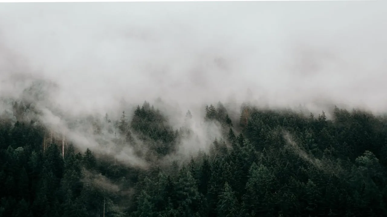 В Україну прийдуть тумани та мокрий сніг: прогноз погоди на тиждень  