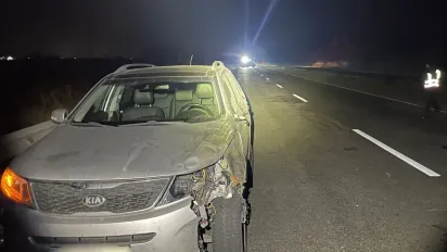 Водій з Рівного на смерть збив велосипедиста на Волині - фото