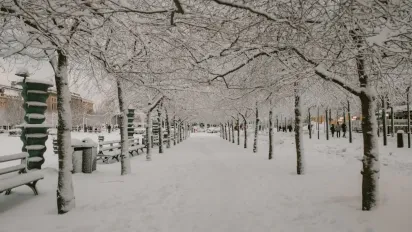 Україну скоро накриють дощі та мокрий сніг: синоптикиня поділилася прогнозом - фото