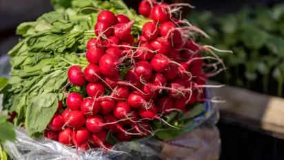 Чи можна сіяти редиску під зиму у відкритий ґрунт: поради дачникам - фото