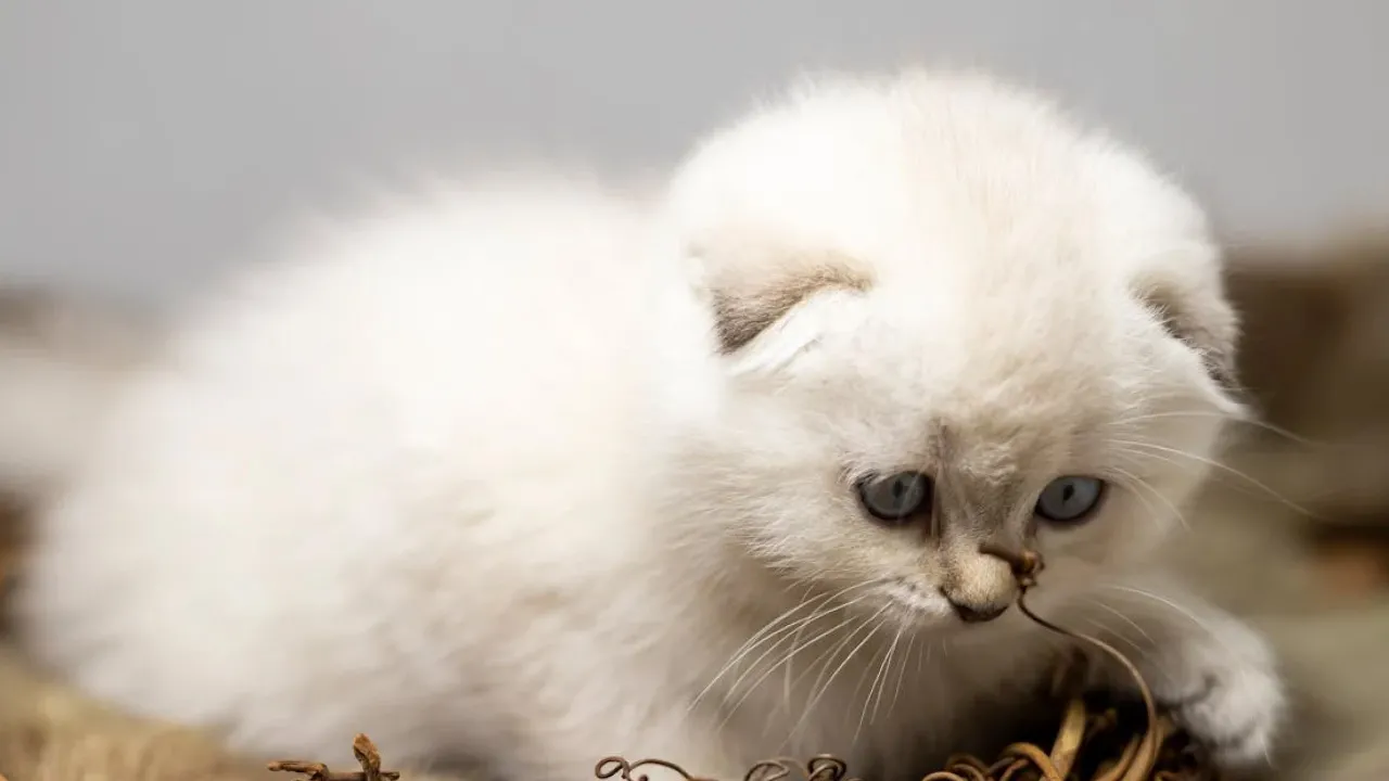 Потепління ще буде: синоптикиня поділилась прогнозом погоди в Україні на вихідні 