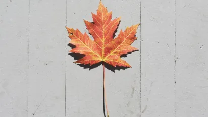 Можливі сніг та дощ: Укргідрометцентр дав прогноз погоди на п'ятницю - фото