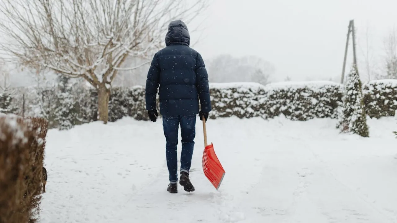 Чи варто зв'язувати крону туї на зиму: навіщо це потрібно робити 