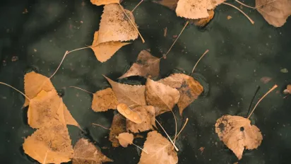 Опади припиняться і потеплішає: синоптики дали прогноз погоди на завтра - фото