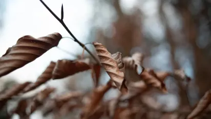 "Очікуйте мінливу погоду": прогноз погоди на 16 листопада в Україні - фото