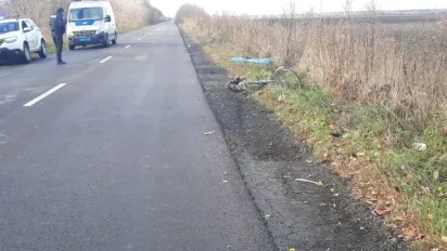 На Волині вантажівка на смерть збила жінку: 20-річний водій був пʼяний - фото