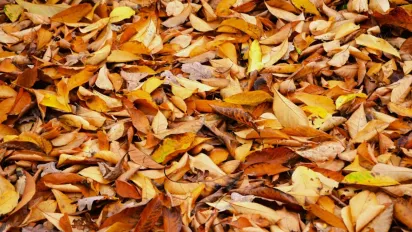 В неділю Україну накриє остання хвиля тепла: прогноз синоптика - фото