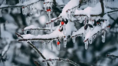 Синоптикиня попередила про значне ускладнення погоди в Україні: названо дату - фото