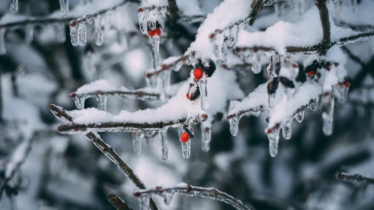 Синоптикиня попередила про значне ускладнення погоди в Україні: названо дату 