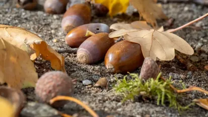 Буде тепло, але частину України накриють дощі: Укргідрометцентр дав прогноз на понеділок - фото