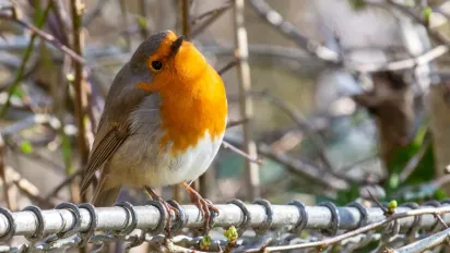 Початок тижня ще потішить українців погодою, - синоптикиня Діденко - фото