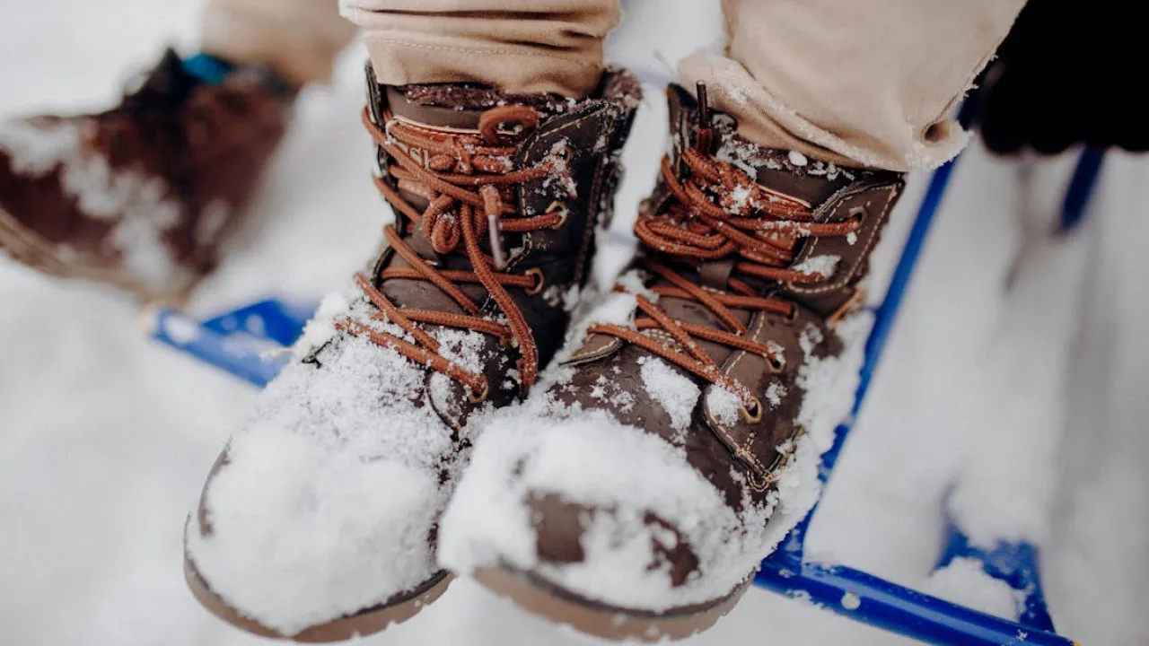 "Насипле по коліна": наступної ночі пів України Засипле Снігом до 50 см 