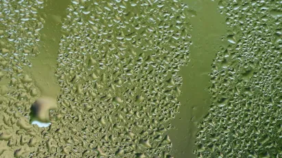 Чому сильний конденсат на вікнах та як його позбутися: поради від експертів - фото