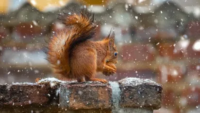 Похолодання в Україні: синоптик розказав, де температура впаде до "мінусів" - фото
