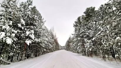 Синоптики попередили про погіршення погоди: де буде велика кількість снігу та дощ - фото
