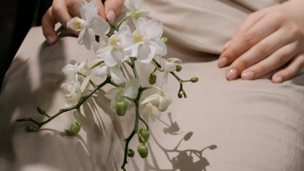 Як забезпечити зволоження орхідей: чи варто їх обприскувати 