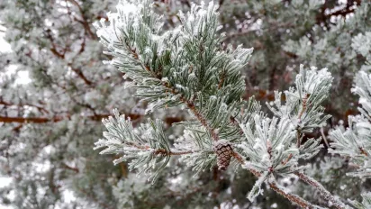 Україну накриє потужний атмосферний фронт: прогноз синоптика - фото