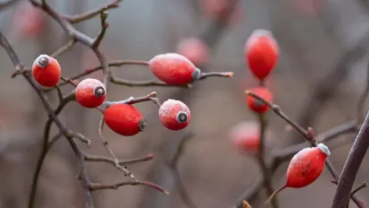 Перед вихідними по всій Україні помітно похолоднішає: прогноз на 22 листопада - фото